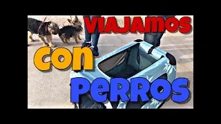 ¡¡¡ VIAJAMOS CON PERROS!!!