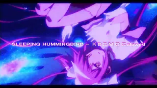 SLOWED SLEEPING HUMMINGBIRD - КØСМОС