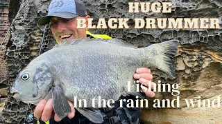 Black Drummer Fishing in the Rain and Wind ! HUGE Drummer