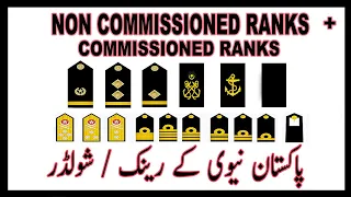 NAVY NON COMMISSIONED RANKS AND INSIGNIA EXPLAINED IN 3 MINUTE AND COMPARE WITH ARMY| POINT TV URDU