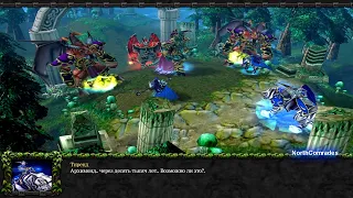 Warcraft 3 Reign of Chaos (RUS) HD История