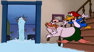 Woody and Wally are Trapped Together | 3 Full Episodes | Woody Woodpecker