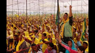 CFR 3/9 Social Justice and Foreign Policy Webinar: The Indian Farmer Protests