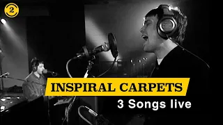 Inspiral Carpets - 3 Songs live on 2 Meter Sessions (1994)