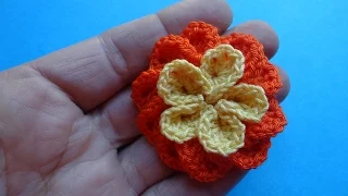 Вязаные цветы крючком Crochet flower 77