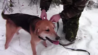 рг Плакун отработал отлично 27. 01. 18 год.