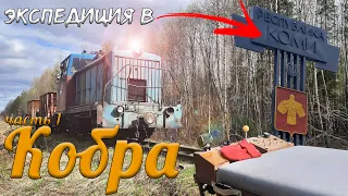 Kobrin narrow-gauge railway. From Murashi to Bezbozhnik | Expedition along UZhD Komi, part 1