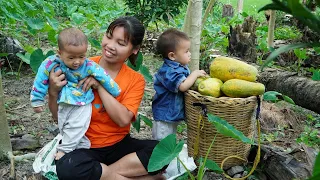 Single mother raising two children, Harvest Papaya goes to the market sell, Cooking, Build farm