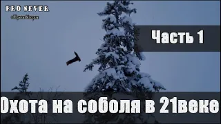 Охота на соболя в 21 веке. Промысел. Охотники промысловики. Счастливые люди Туруханский район.