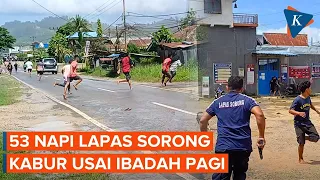 53 Napi Kabur dari Lapas Sorong, Pj Gubernur Papua Barat Daya Imbau agar Napi Serahkan Diri