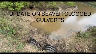 unclogging multiple culverts/update on beaver clogged culverts/low water bridges 6/3/23