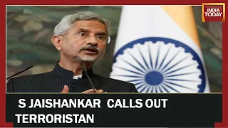 PAK Epicenter  Of Terror  , Europe  Doesn't  Condemn: External Affairs Minister S Jaishankar