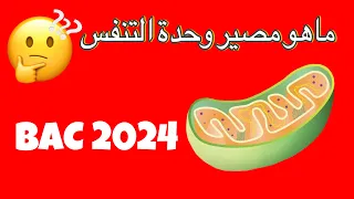 اكثر سؤال 📢 هام بخصوص التنفس | بكالوريا 2024