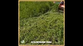 Мульчирование травы и мелкого кустарника трактором МТЗ82 с  высокопроизводительным  мульчером Mateng