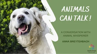 Animals talk?! A conversation with Animal Whisperer Anna Breytenbach