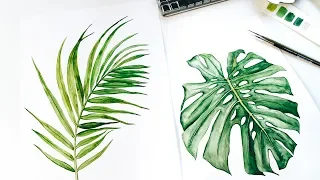 Tropical watercolor leaves painting time lapse  - monstera, palm leaf & baby lion