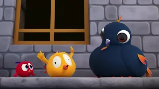 Chicky em Paris | Onde está Chicky? | Pintinha amarelinho | Coleção desenhos animados Infantil HD