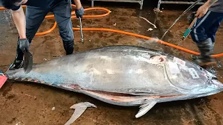 How to Cut Super Huge Bluefin Tuna Perfectly and Quickly