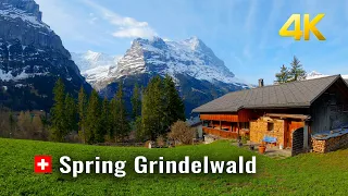 Grindelwald Spring Walk, most beautiful Valley Grindelwald Switzerland 4K