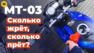 Yamaha MT-03: разгон до сотни, максималка, расход бензина