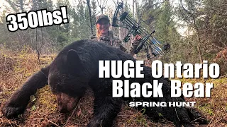 My FIRST Black Bear Ever with a BOW! | Spring Bear Hunt