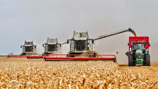 🌾9 Kombajnów w Akcji !!🔥Żniwa 2023 na Wielką Skalę w Top Farms Wielkopolska ! 🔥