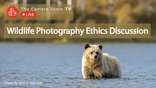 Wildlife Photography Ethics Discussion