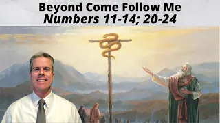 Beyond Come Follow Me: Numbers