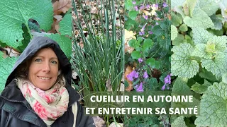 Cueillir en automne et entretenir sa santé