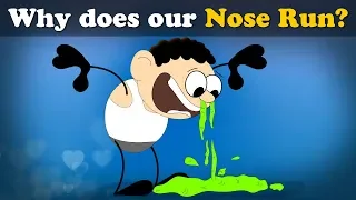 Why does our Nose Run? + more videos | #aumsum #kids #science #education #children