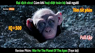 Đại dịch virut Cúm khỉ huỷ diệt toàn bộ loài người - tóm tắt phim War For The Planet Of The Apes