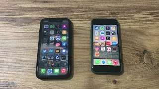 iPhone 11  - iPhone SE 2020