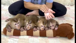 4 Siblings Sleep Very Relax & Comfy While Mom Gently Powdering For Them ,