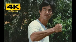 Analysis of 6 reasons why Bruce Lee couldn't beat Tyson in the ring