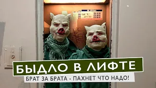 БЫДЛО В ЛИФТЕ  БРАТ ЗА БРАТА - ПАХНЕТ ЧТО НАДО!