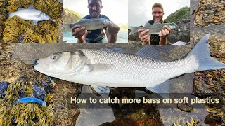 How to CATCH! More sea BASS!! On soft plastic lures-jj minnow#fishing#uk#bass