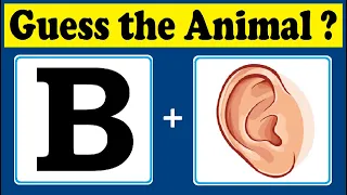 Guess the Animal quiz 4 | Brainteasers | Riddles with answers | Puzzle game | Timepass Colony