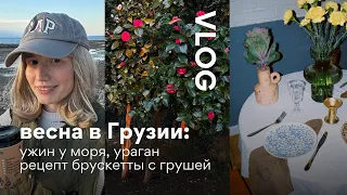 весна в Грузии, ужин у моря, ураган в Батуми, рецепт брускетты с грушей и бри [Грузия 2023]