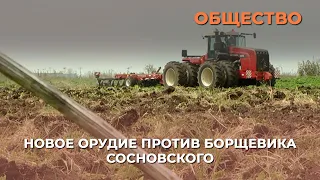 Власти Владимирской области показали новое орудие против борщевика Сосновского