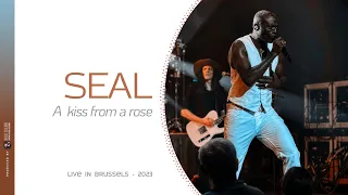 SEAL  - A kiss from a rose (Live in Brussels 2023)