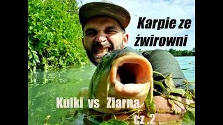 Karpie ze  Żwirownia cz. 2     kulki vs. ziarna // Branie hol  na żywo