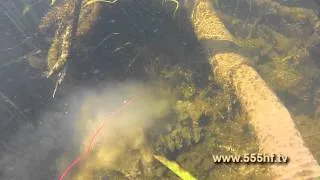 Подводная охота на реке Псёл