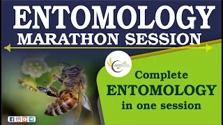 Entomology Marathon Session | Complete entomology in one session