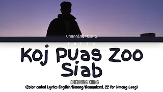 CHENNING XIONG - 'Koj Puas Zoo Siab' (Color Coded Lyrics) (Hmong/Rom/Eng)