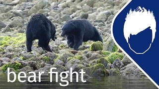 Bear Fights to Save Her Cubs (Episode 8) | wild_life with bertie gregory