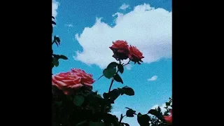 (FREE) Lo-fi Type Beat - "Memories"