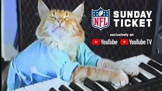 Football Cat — NFL Sunday Ticket is coming soon to YouTube TV