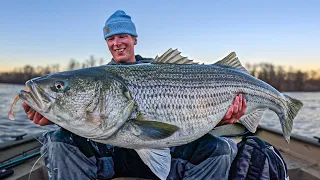 THE HOLY GRAIL OF STRIPED BASS FISHING! (50+ INCH GIANT CAUGHT ON FILM!)