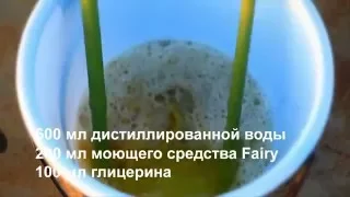 Мыльный восторг  Гигантские мыльные пузыри