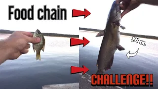 Food Chain Fishing CHALLENGE!-Tiny Fish to a RIVER MONSTER out of Hudson River